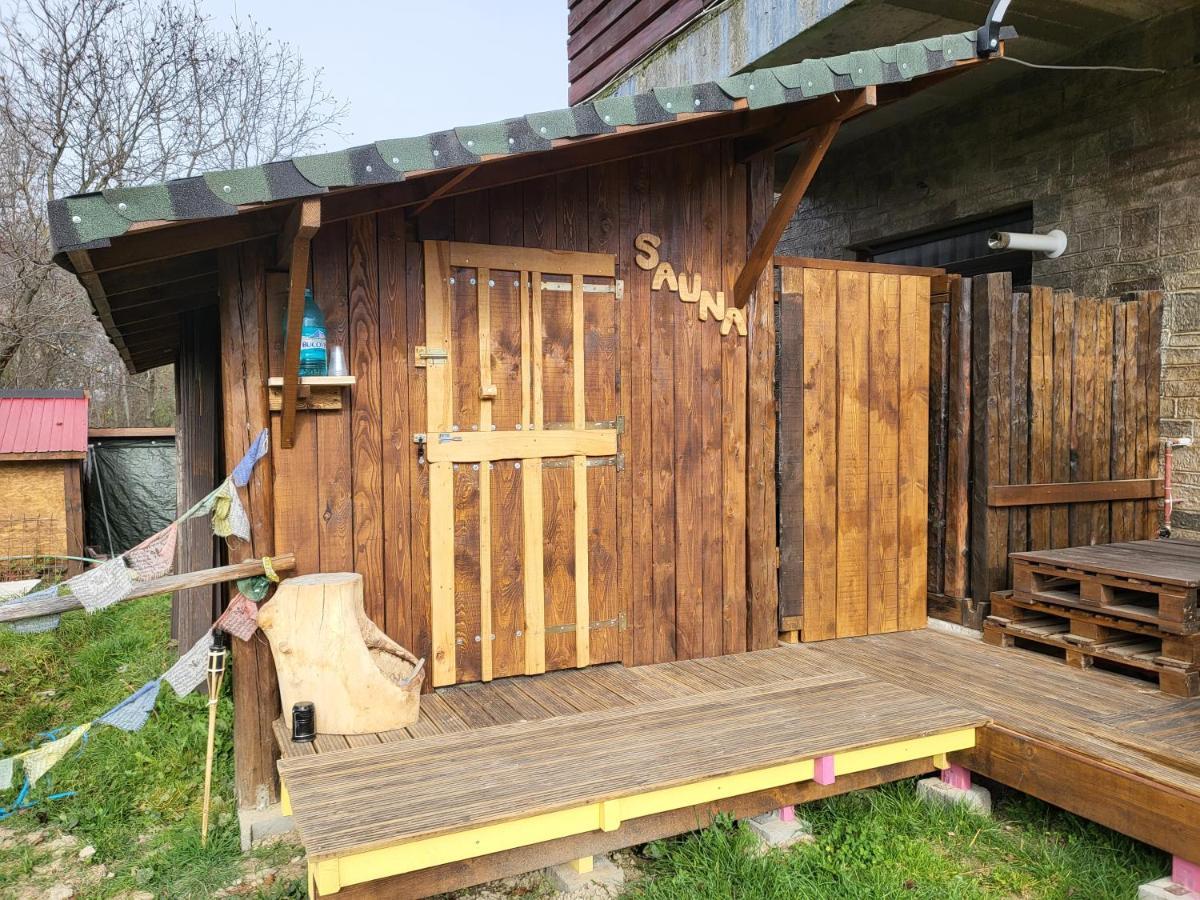 Pensiunea Ana Bed and breakfast Vistisoara
