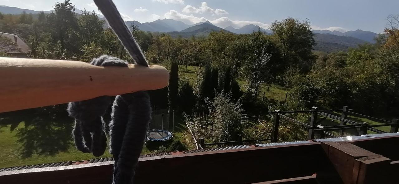 Pensiunea Ana Vistisoara