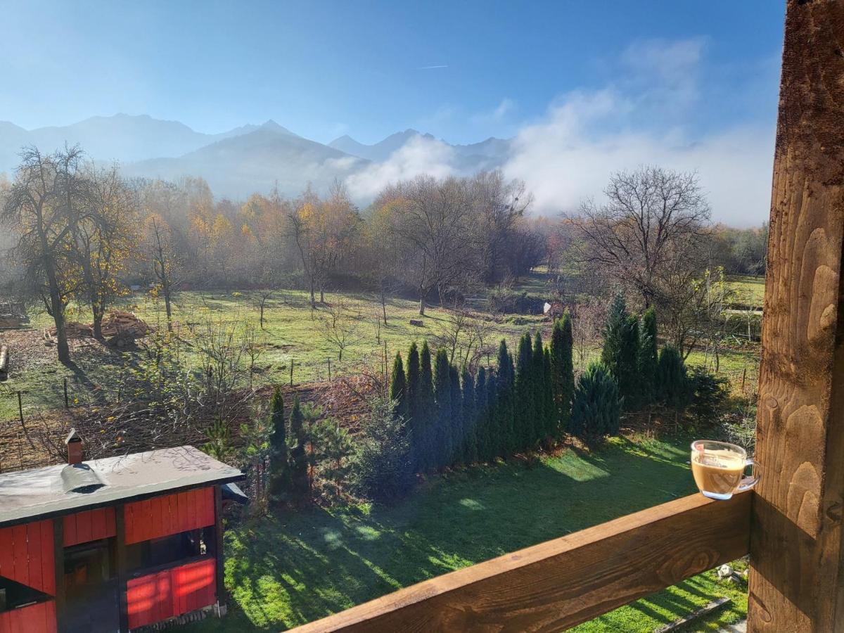 Bed and breakfast Pensiunea Ana Vistisoara