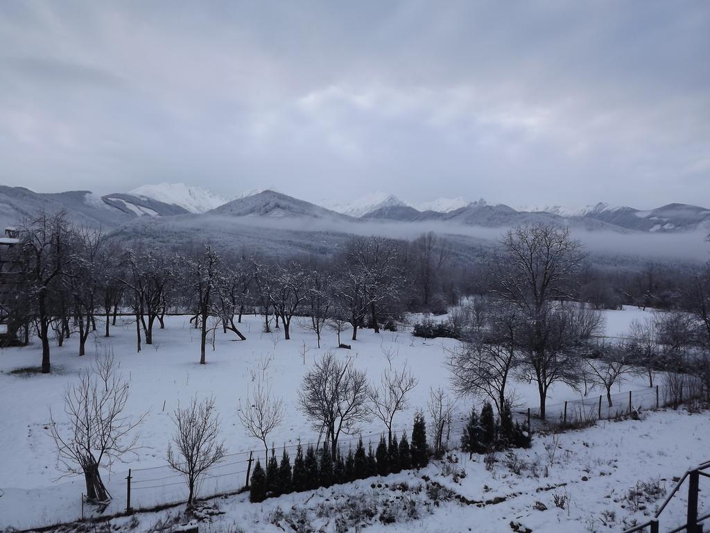 Pensiunea Ana Bed and breakfast Vistisoara