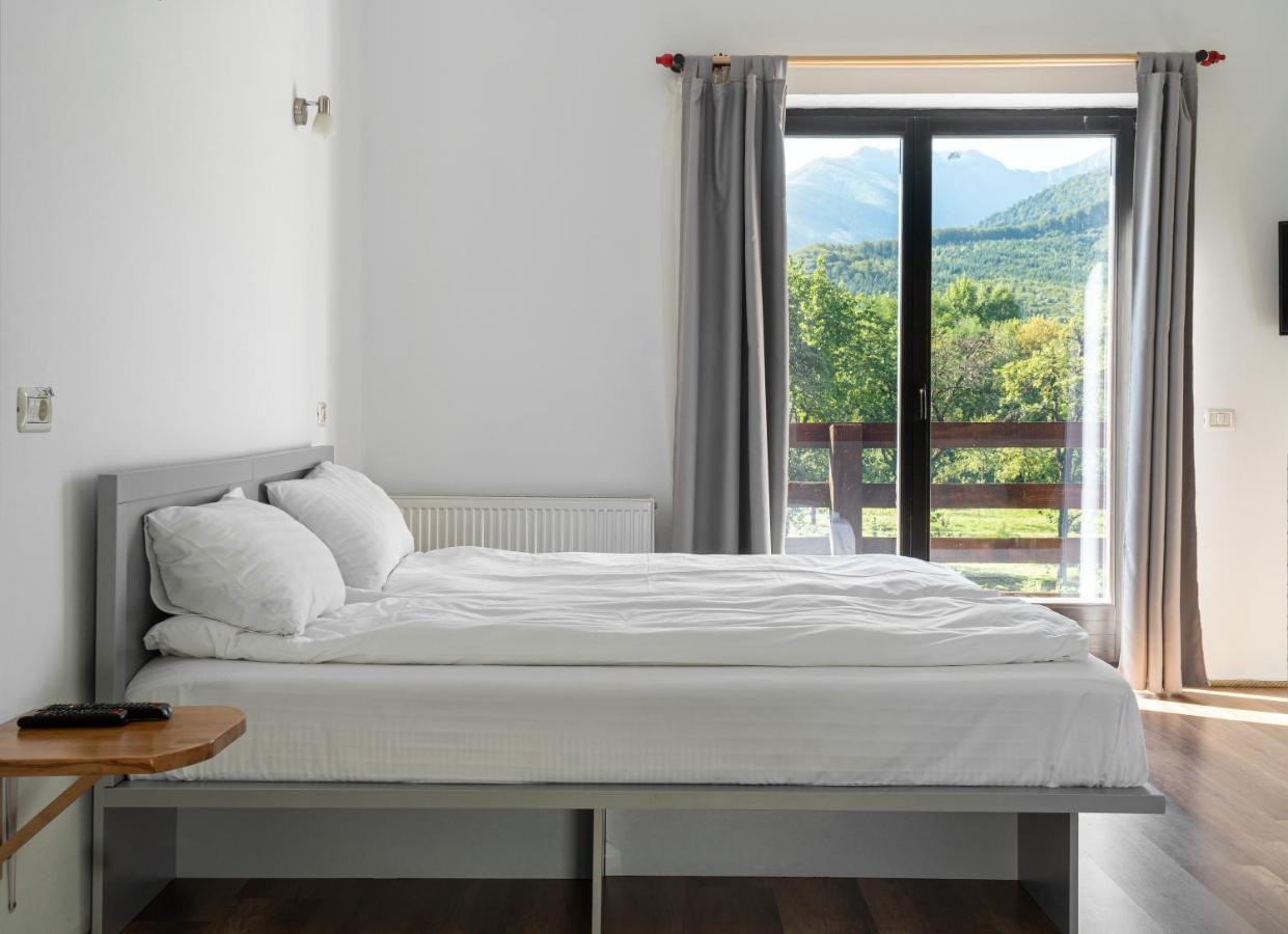 Pensiunea Ana Bed and breakfast Vistisoara